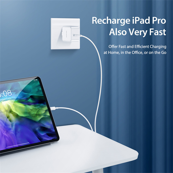 Ładowarka sieciowa Dux Ducis C100 - Typ C - PD 30W 3A biała