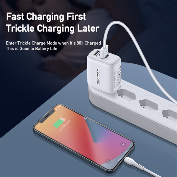 Ładowarka sieciowa Dux Ducis C10 - 2xUSB - 12W 2,4A biała