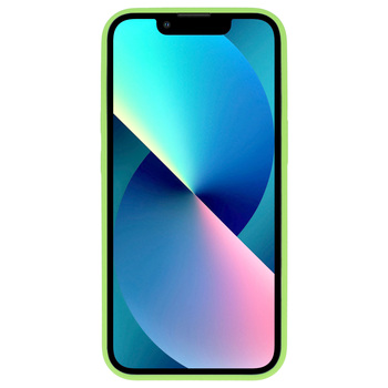 TEL PROTECT Leather Luxury Stand Case do Iphone 11 Pro Miętowy