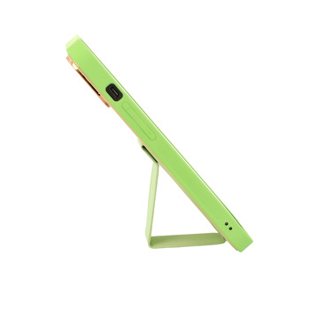 TEL PROTECT Leather Luxury Stand Case do Iphone 11 Pro Miętowy