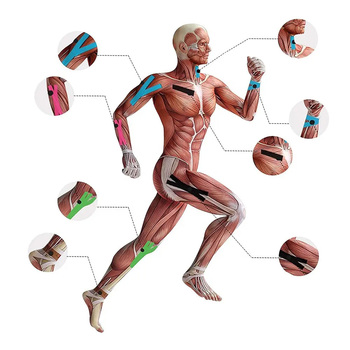 Kinesiology tape, 2,5 cm x 5 m green
